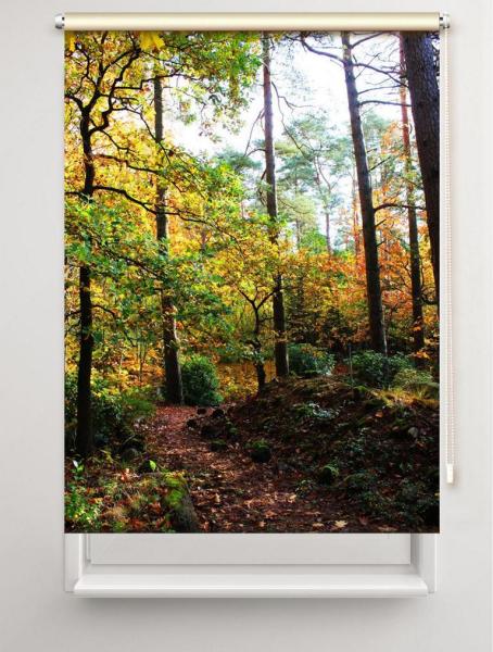Rollo Verschlungene Wege, Rollo, Motivrollo, Rollo mit Druck, Fotorollo, bedrucktes Rollo, Fensterrollo,verdunkelndes Rollo, Sonnenschutz Rollo